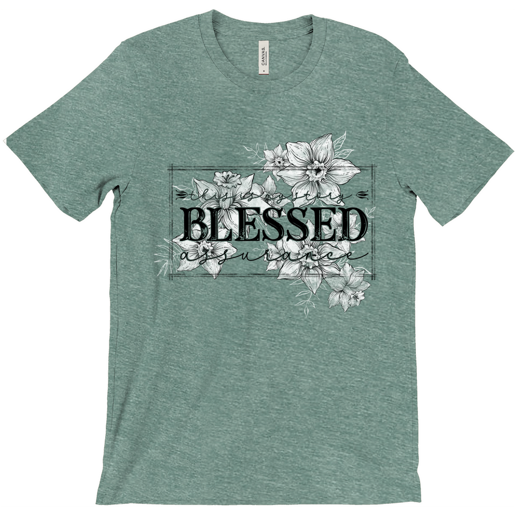 Apparel-DTG-Tshirt-Bella-3001-4XL-HeatherDustyBlue-Unisex-CF-20240326215234598