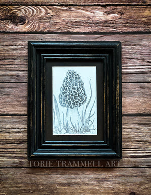 Original -‘Morel Mushroom’