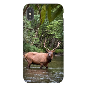 Oconuluftee Elk TOUGH Phone Case