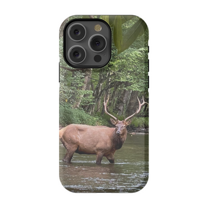 Oconuluftee Elk TOUGH Phone Case