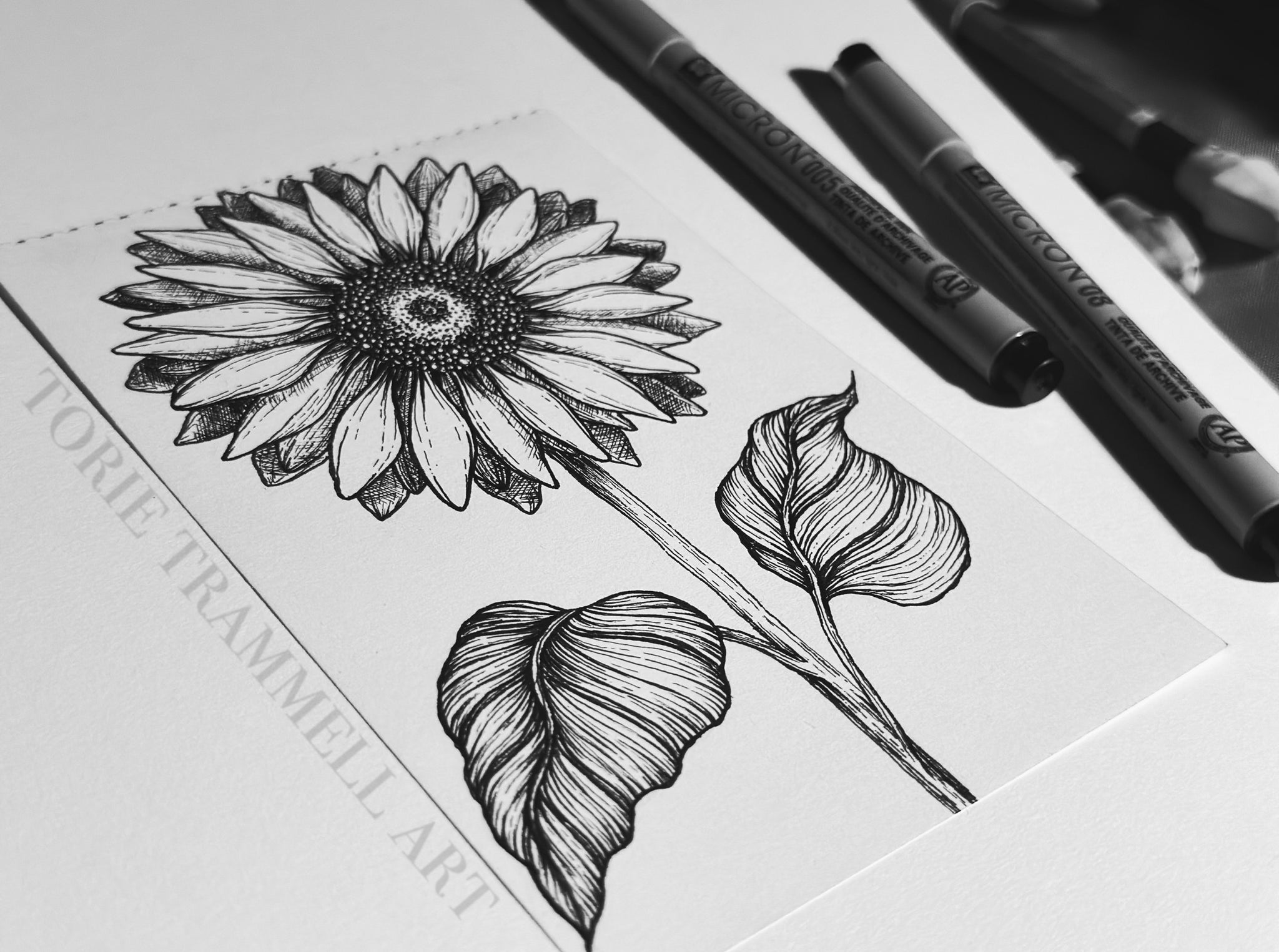 Original -’Sunflower in Ink’