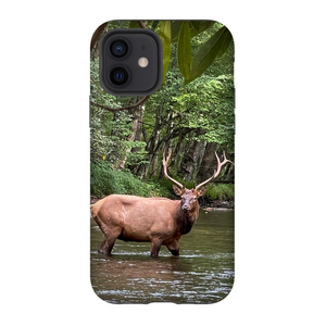 Oconuluftee Elk TOUGH Phone Case