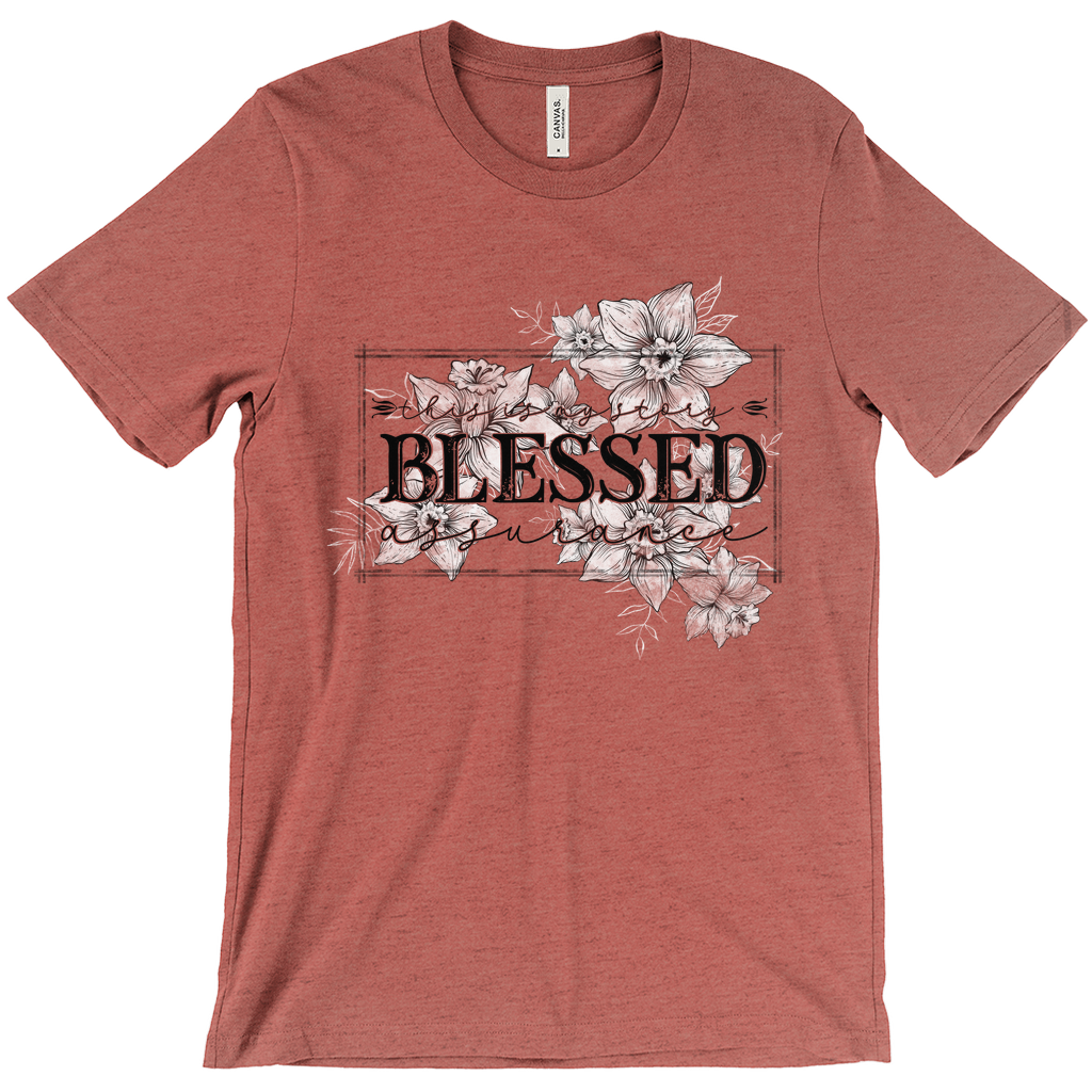 Apparel-DTG-Tshirt-Bella-3001-S-HeatherClay-Mens-CF-20240326215234598
