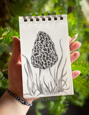 Original -‘Morel Mushroom’