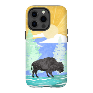 Buffalo Sunset TOUGH Phone Case