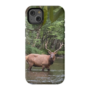 Oconuluftee Elk TOUGH Phone Case