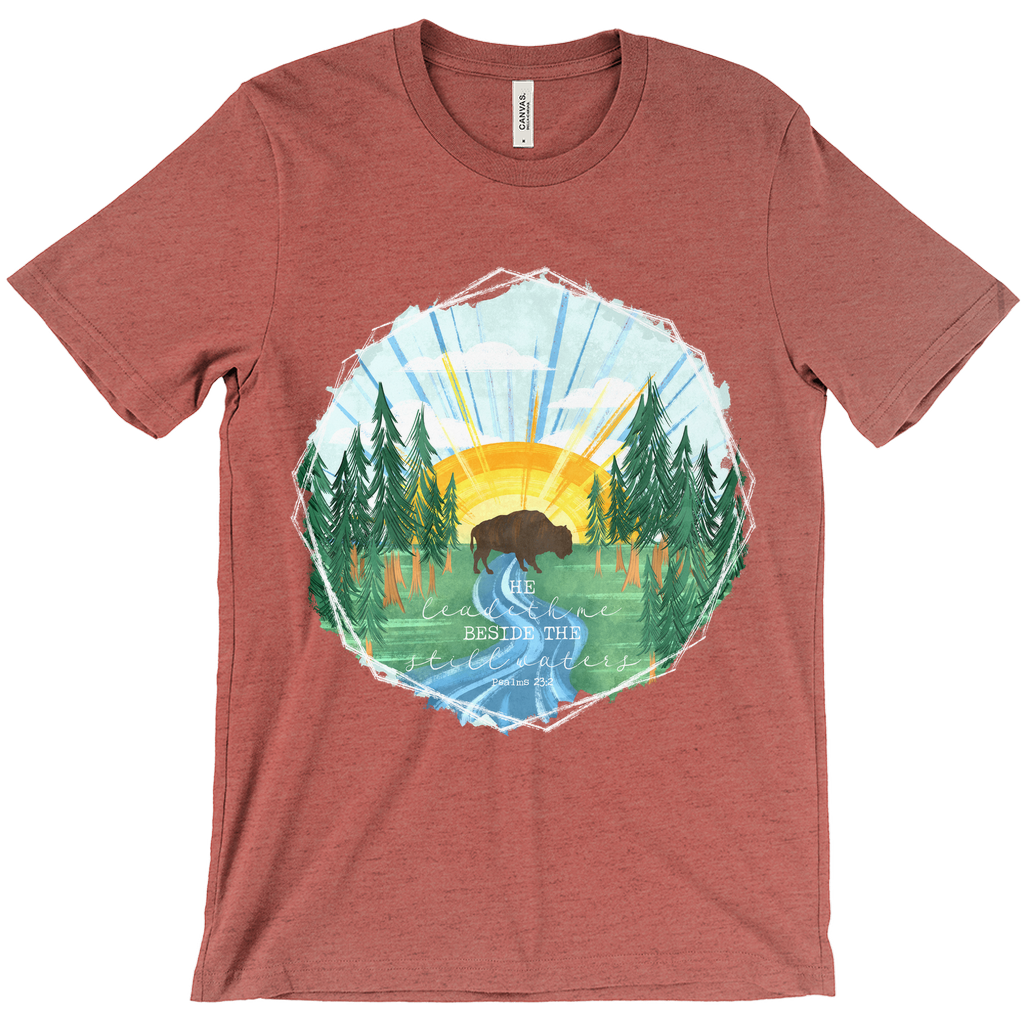 Still Waters Buffalo T-Shirt (Adult)