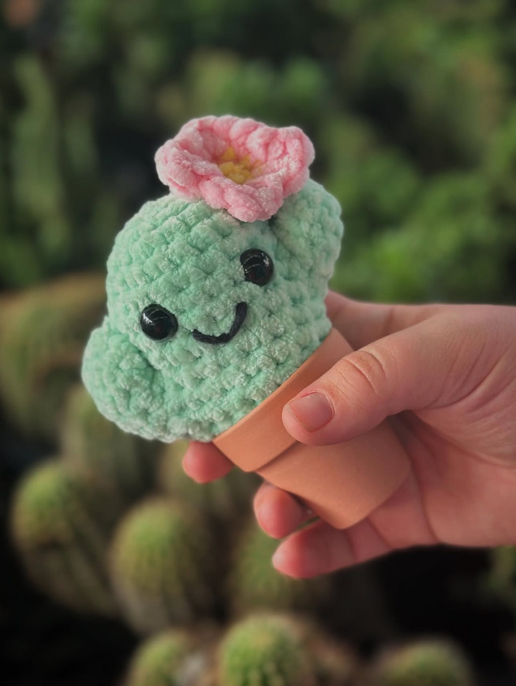 Mini Crocheted Cactus