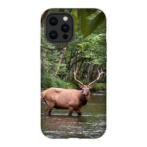 Oconuluftee Elk TOUGH Phone Case