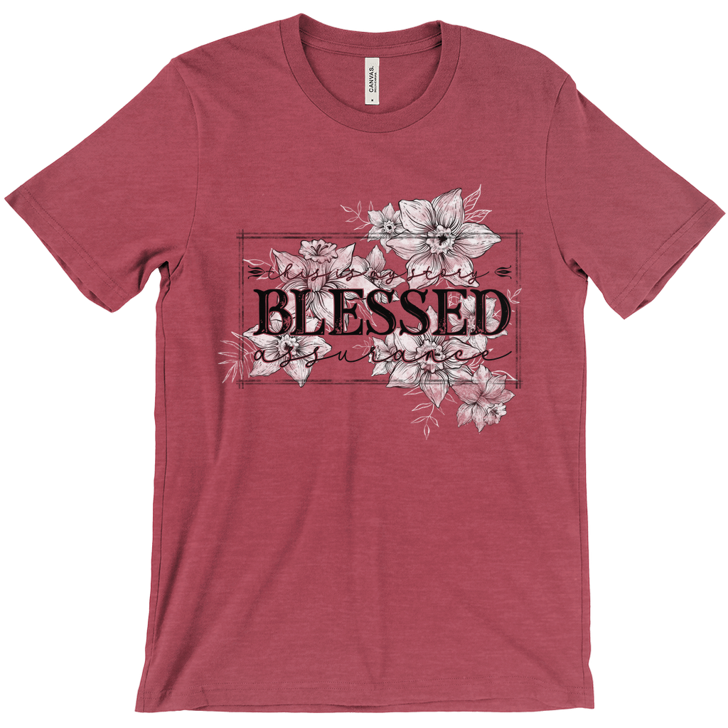 Apparel-DTG-Tshirt-Bella-3001-2XL-HeatherRaspberry-Mens-CF-20240326215234600