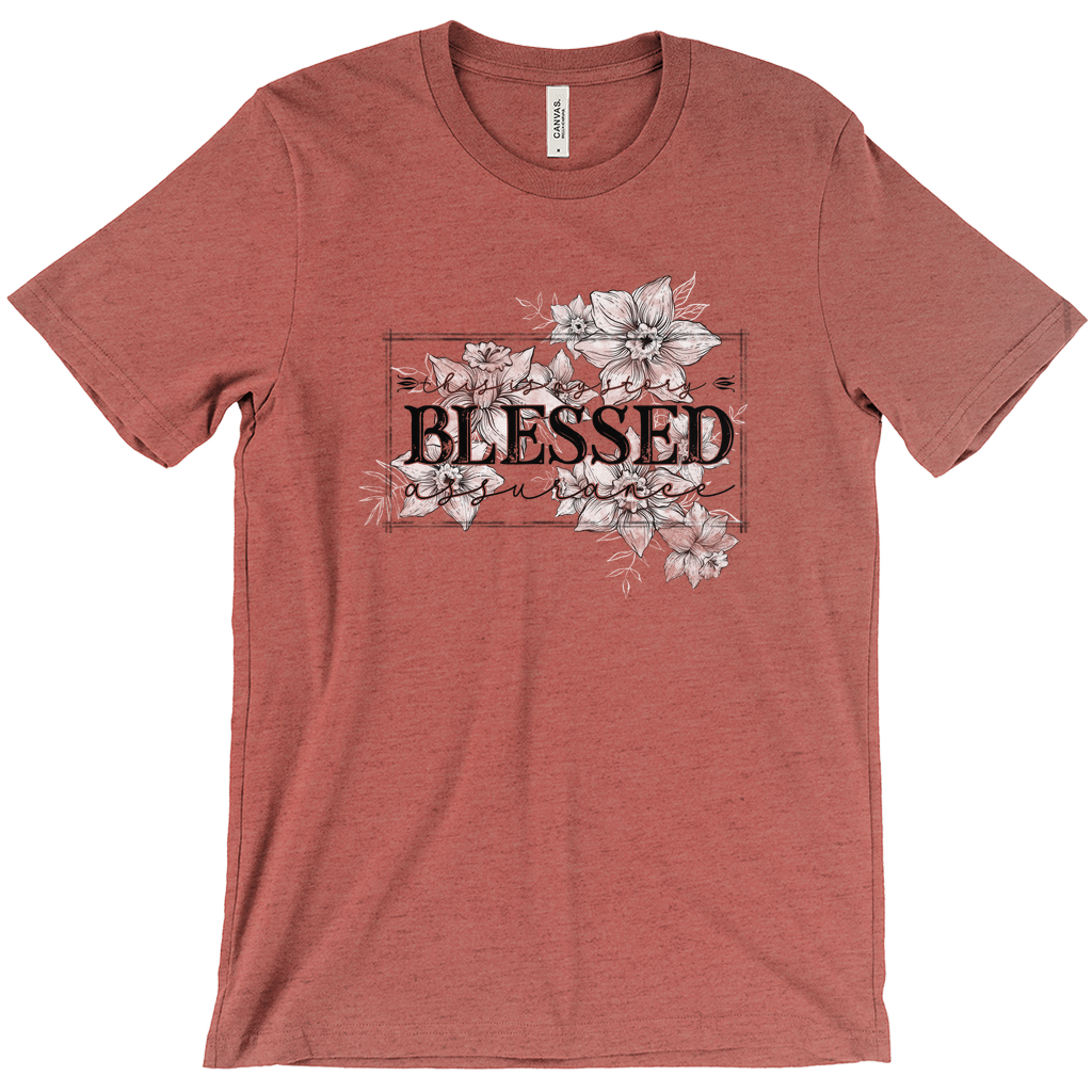 Apparel-DTG-Tshirt-Bella-3001-XS-HeatherClay-Mens-CF-20240326215234598