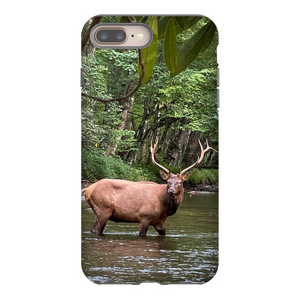 Oconuluftee Elk TOUGH Phone Case