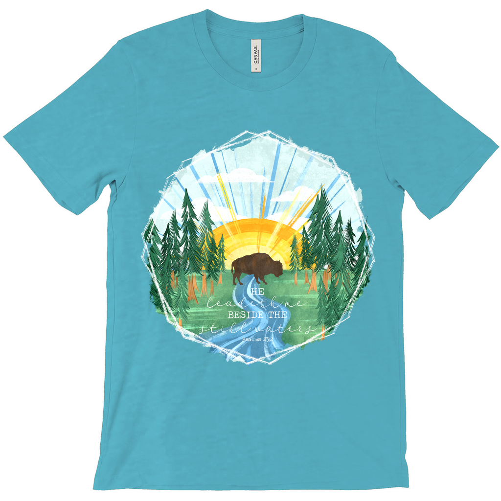 Still Waters Buffalo T-Shirt (Adult)