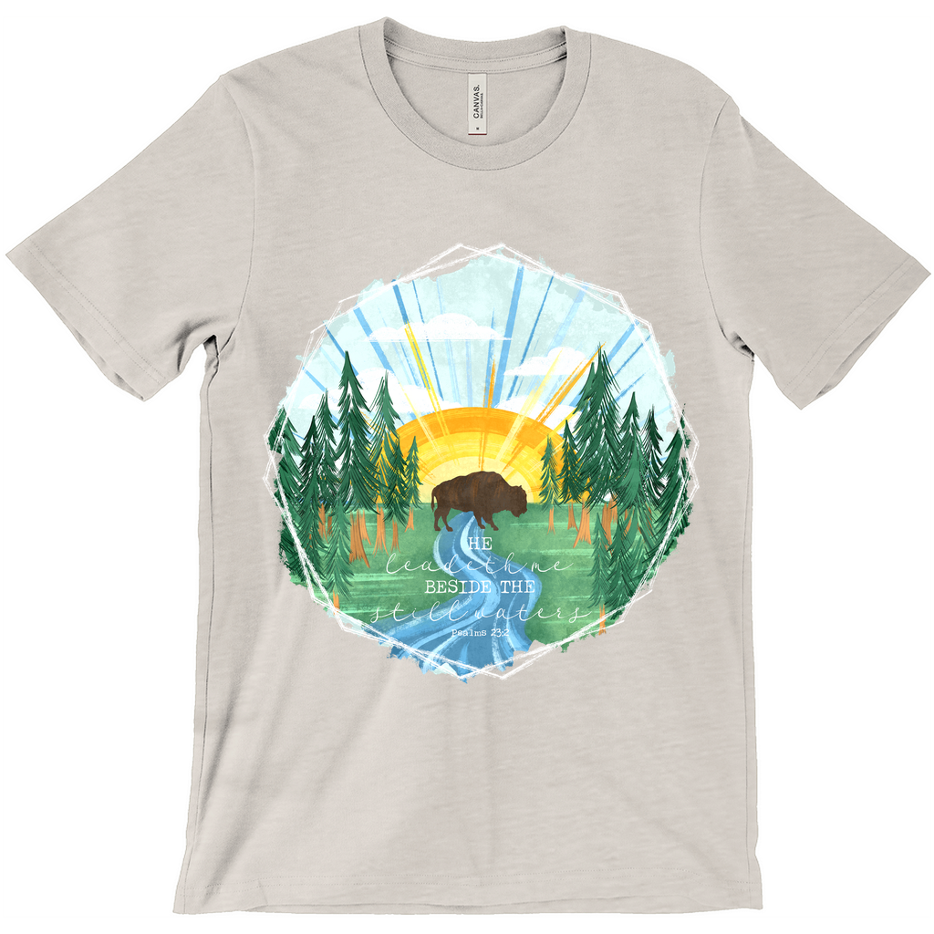 Still Waters Buffalo T-Shirt (Adult)