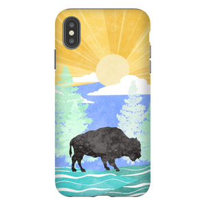 Buffalo Sunset TOUGH Phone Case