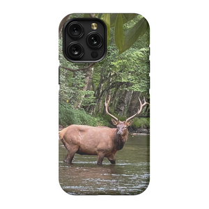 Oconuluftee Elk TOUGH Phone Case