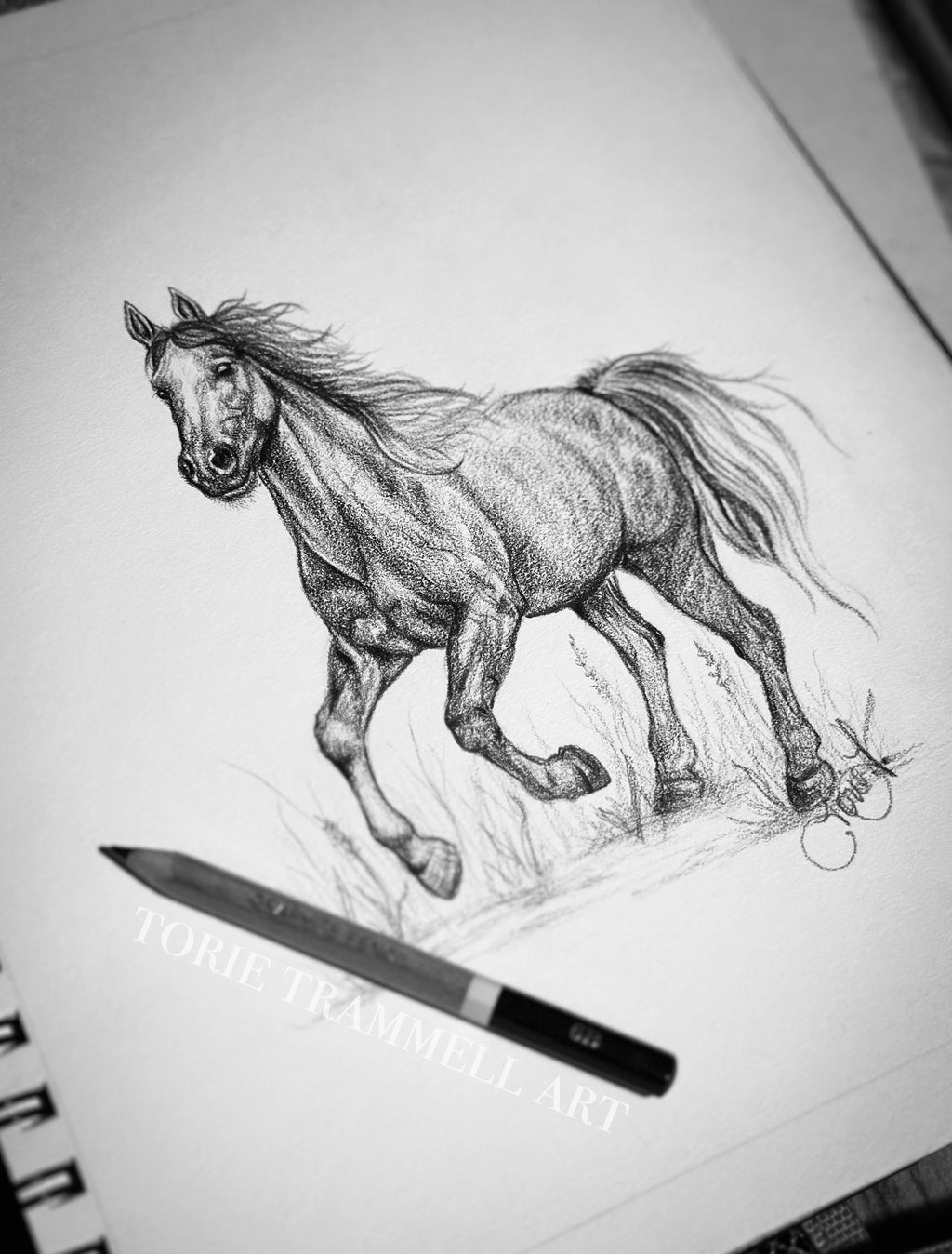 Original -Horse Drawing