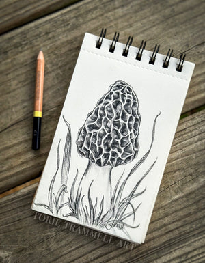 Original -‘Morel Mushroom’