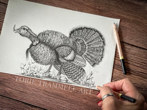 Original -‘Ozark Gobbler’