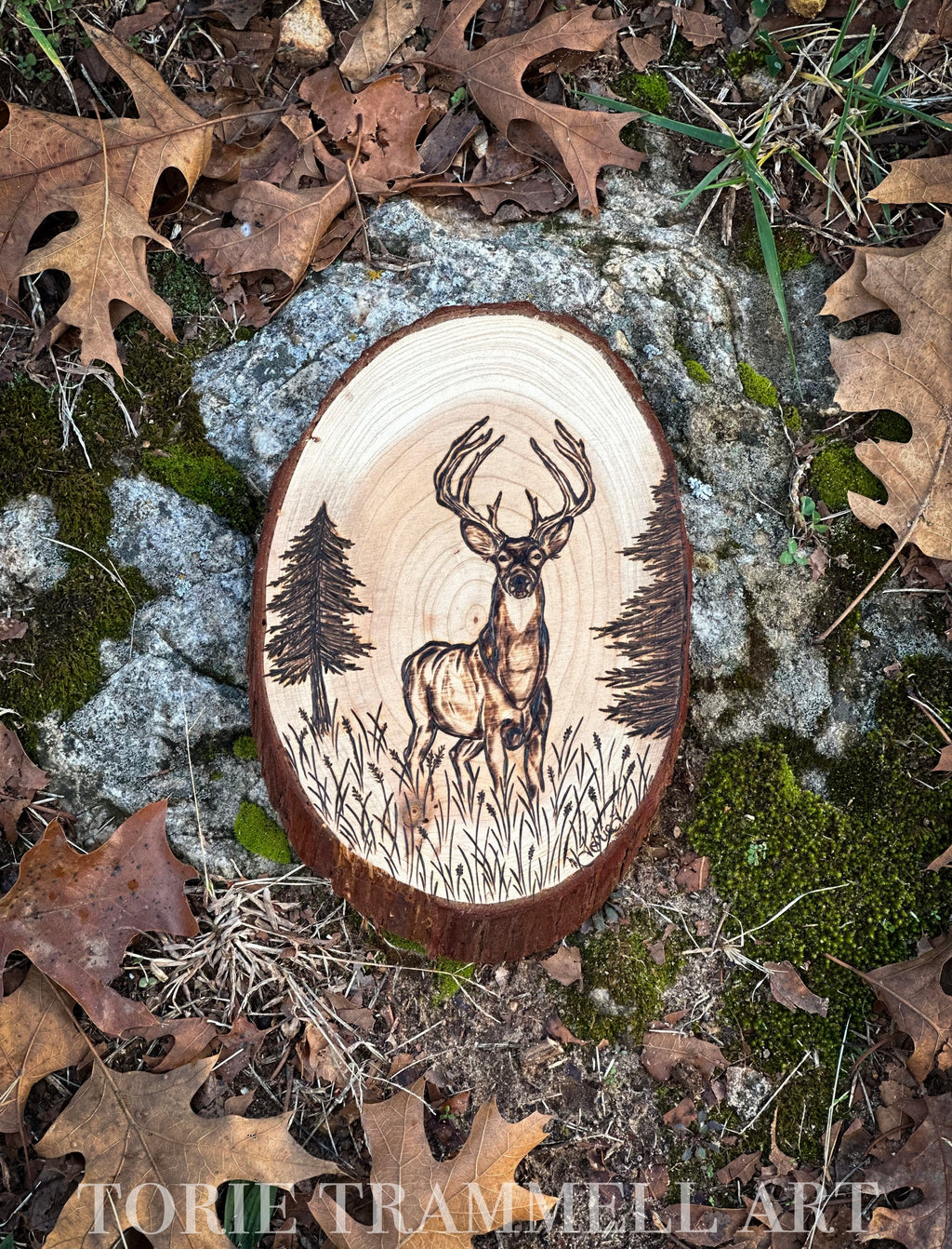 Wood Burned Deer Slice