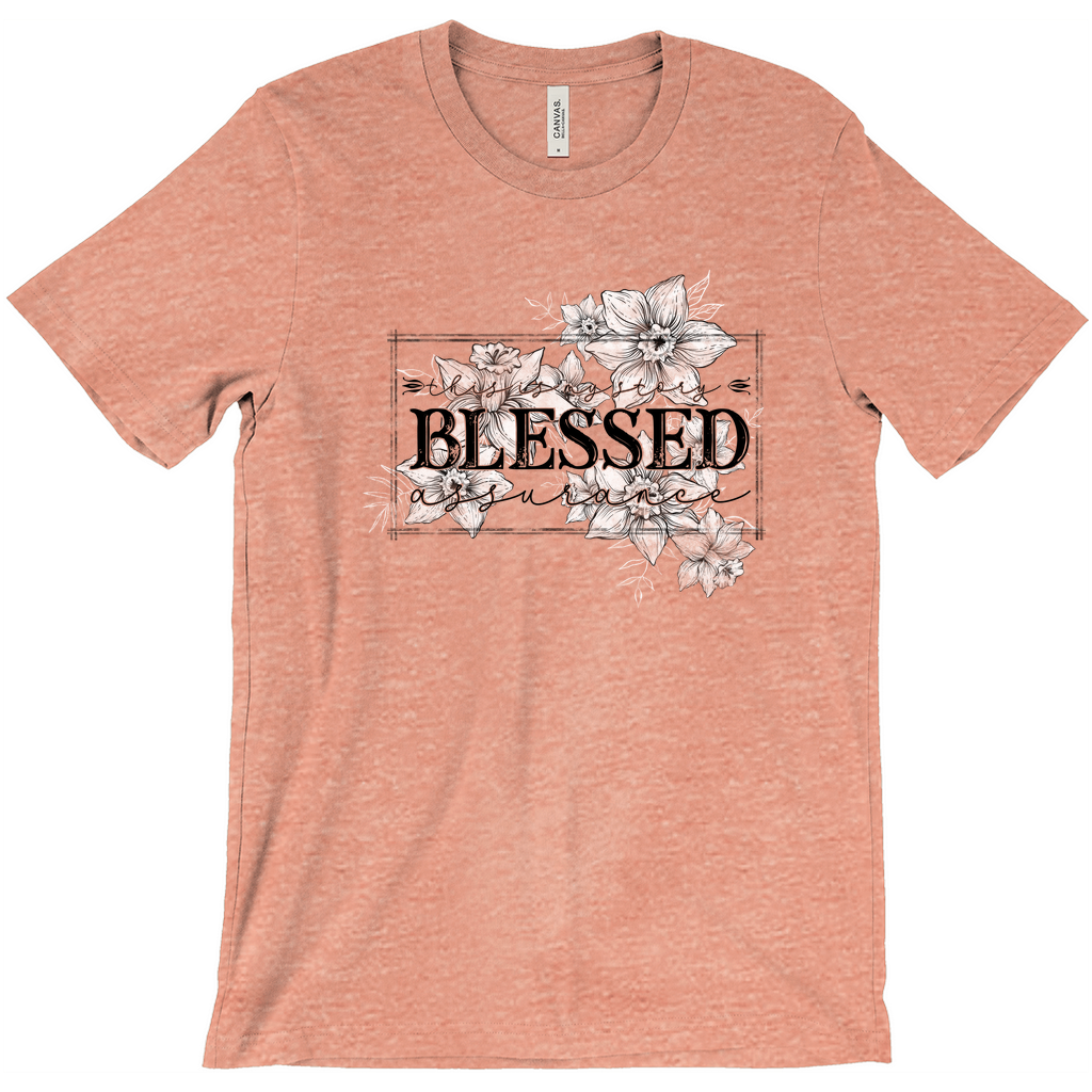 Apparel-DTG-Tshirt-Bella-3001-XS-HeatherSunset-Unisex-CF-20240326215234600