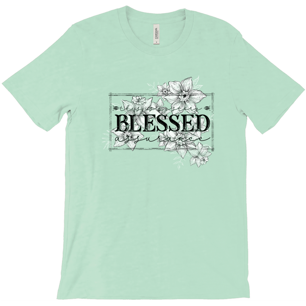 Apparel-DTG-Tshirt-Bella-3001CVC-XS-HeatherMint-Unisex-CF-20240326215234599
