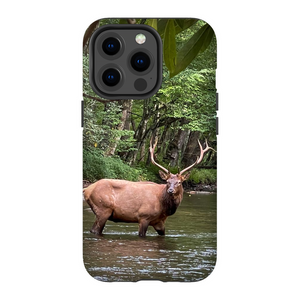 Oconuluftee Elk TOUGH Phone Case