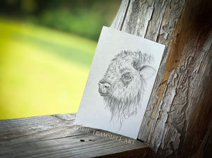 Original -‘Buff the Buffalo’