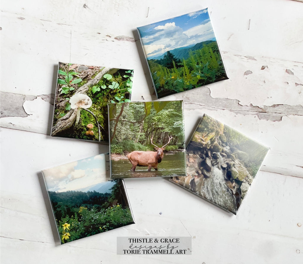 Smoky Mountains Photo Magnets