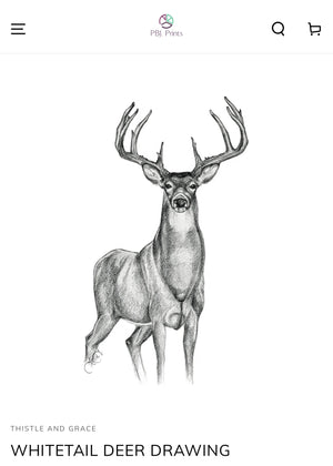 Print Link -‘Whitetail Deer’