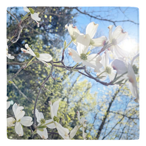 Spring Florals Photo Magnets