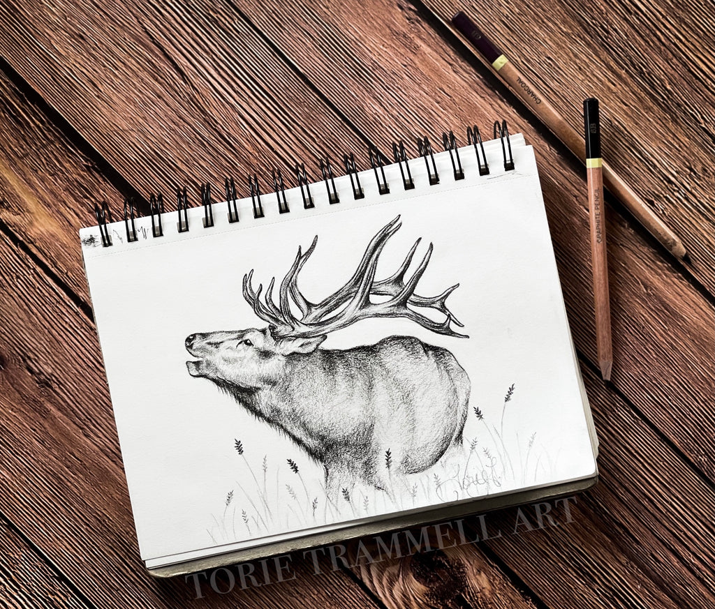 Original Elk Drawing