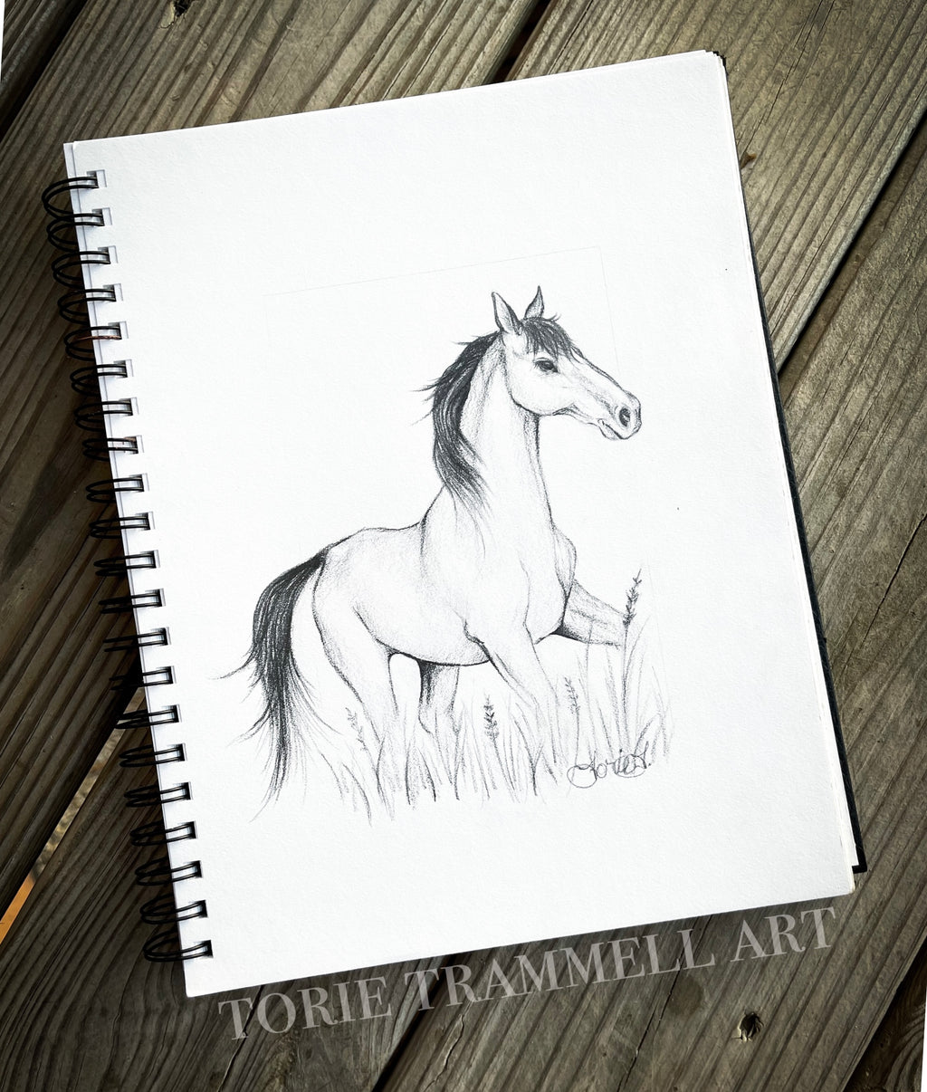 Original Horse Drawing