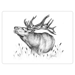 Bugling Elk Drawing Magnet