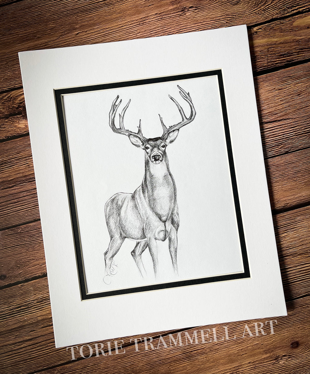 Original -‘Whitetail Deer’